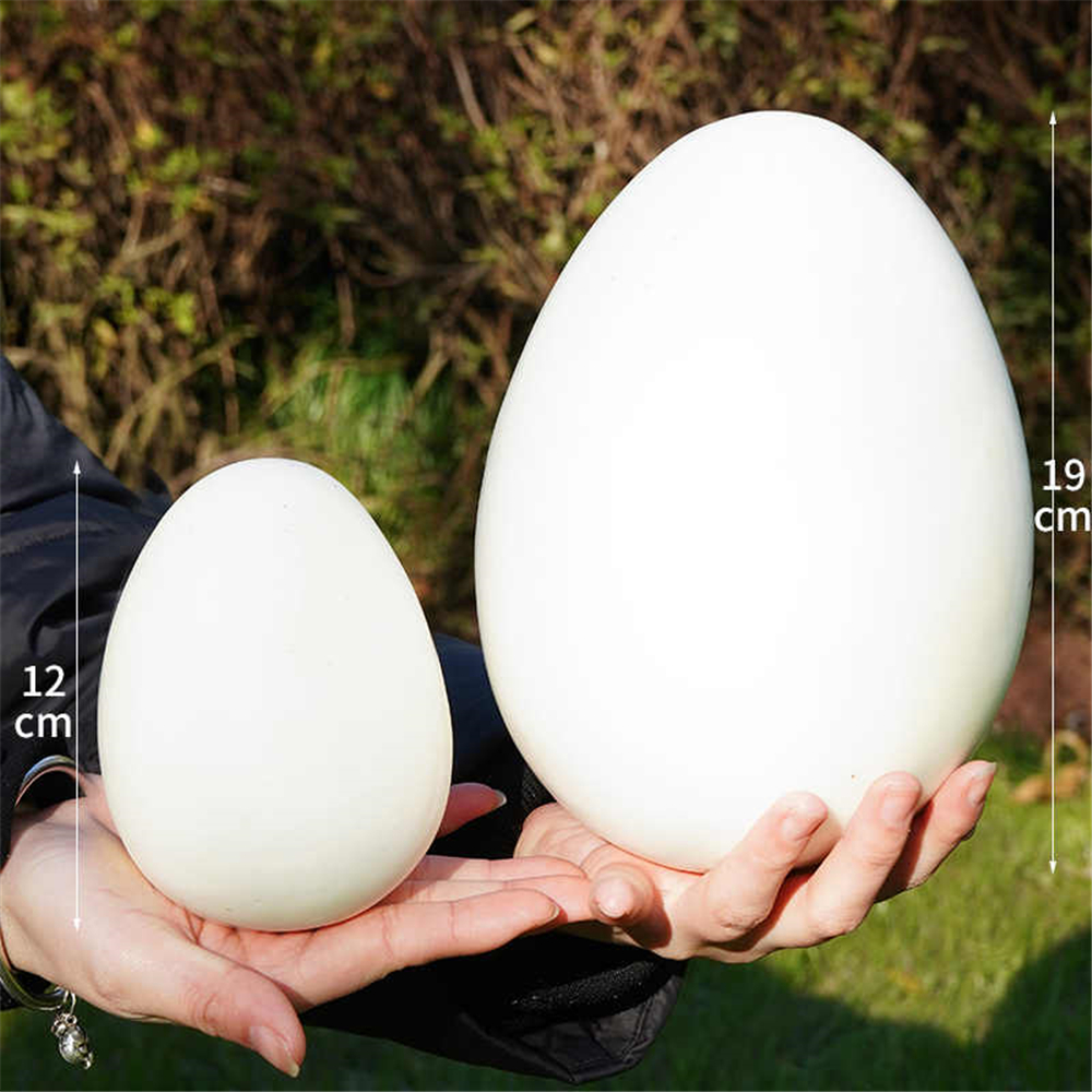 artificial bird eggs baby kids - Party Games Graduation review and price