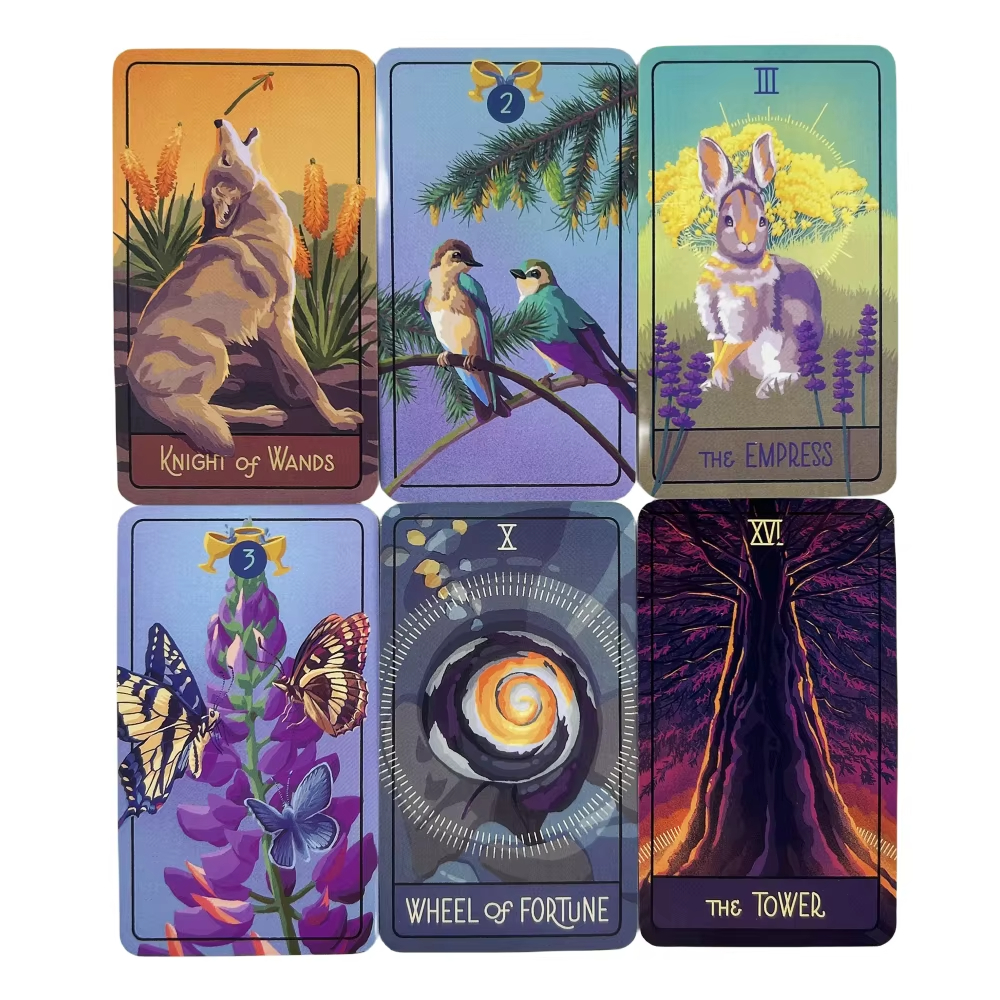 The Pacific Northwest Tarot Fa - Party Games Entertainer review and price